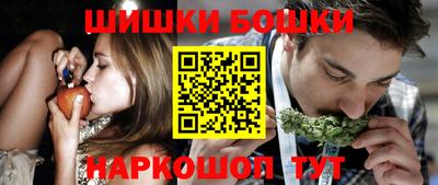 spice Новодвинск