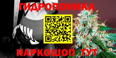 кокс Новокубанск