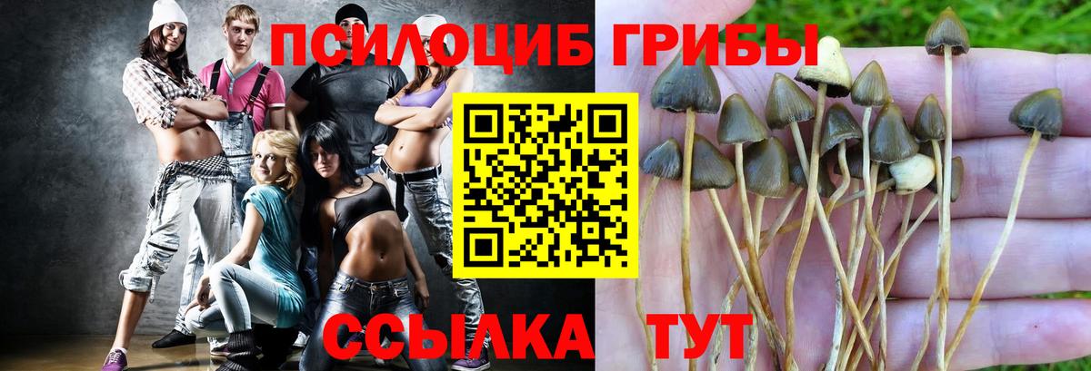 Псилоцибиновые грибы MAGIC MUSHROOMS Чистополь